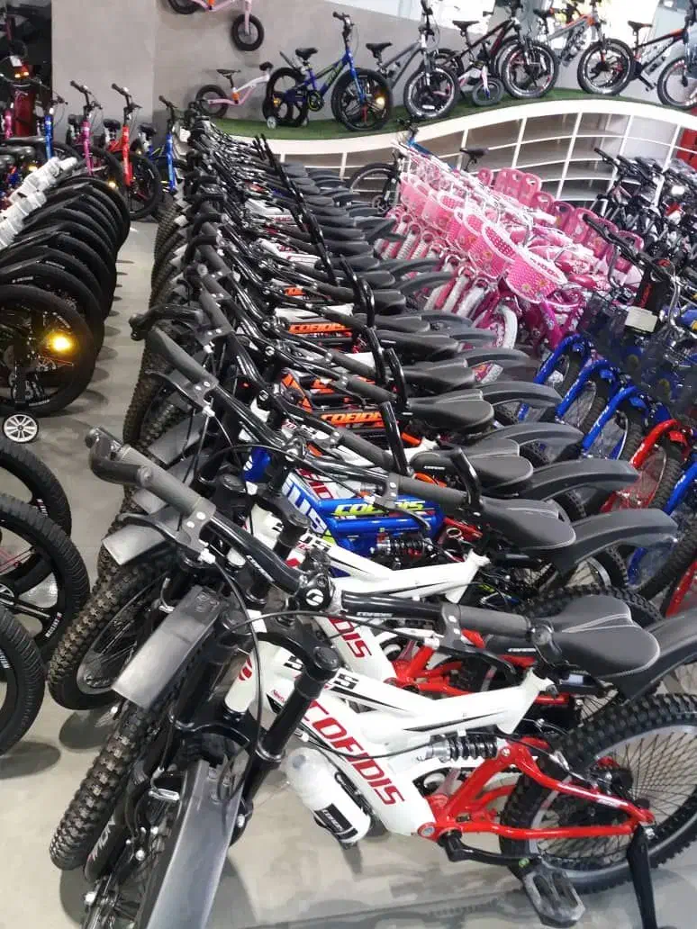 دوچرخه ویوا|دوچرخه، اسکیت، اسکوتر|اردبیل, |دیوار