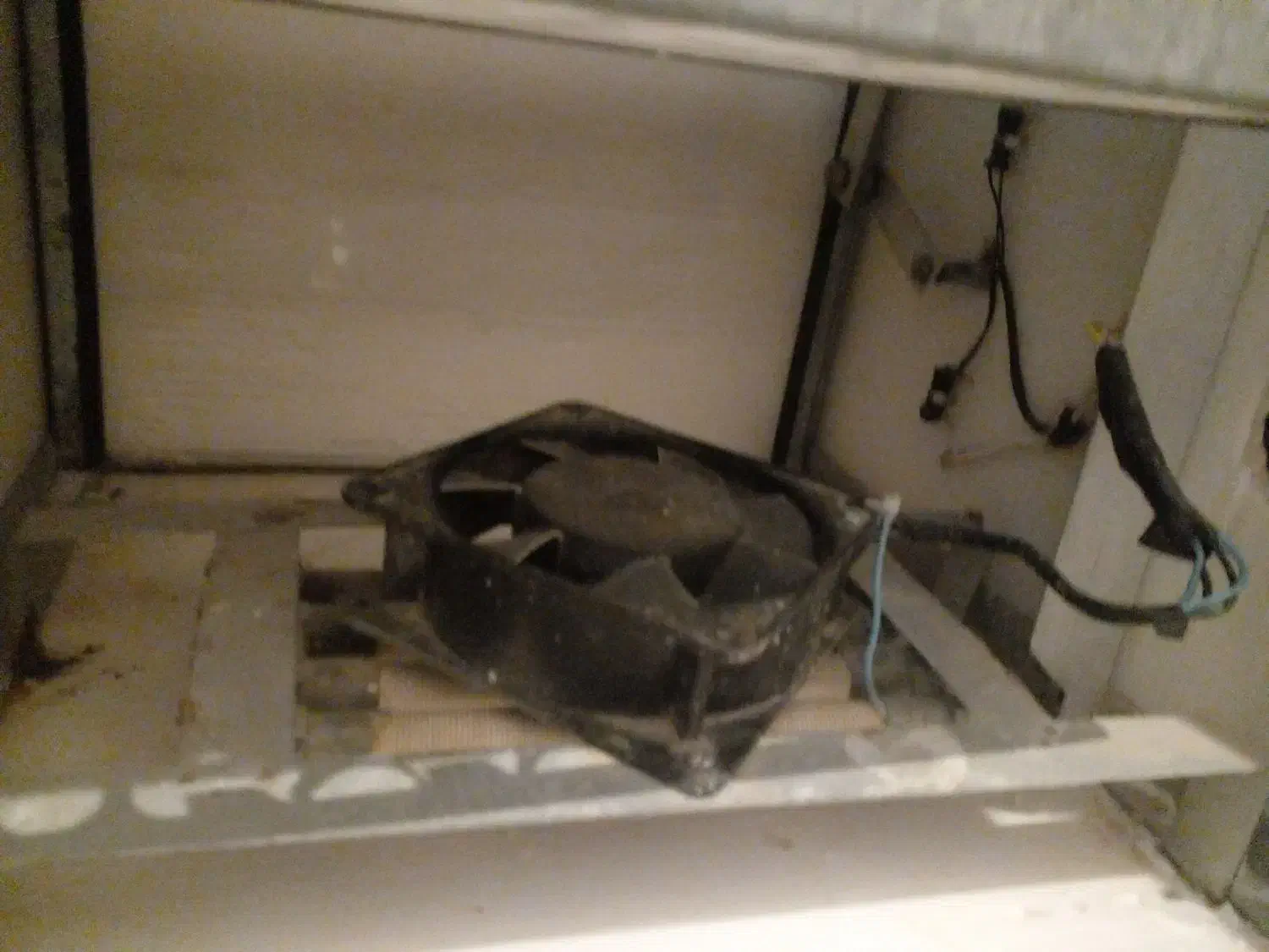 دستگاه جوجه کشی|لوازم جانبی حیوانات|فردوس (خراسان), |دیوار