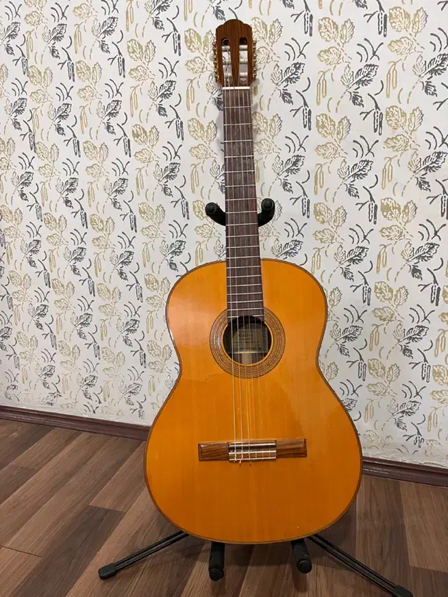 گیتار استیو 2 esteve|گیتار، بیس، امپلیفایر|تهران, جمهوری|دیوار