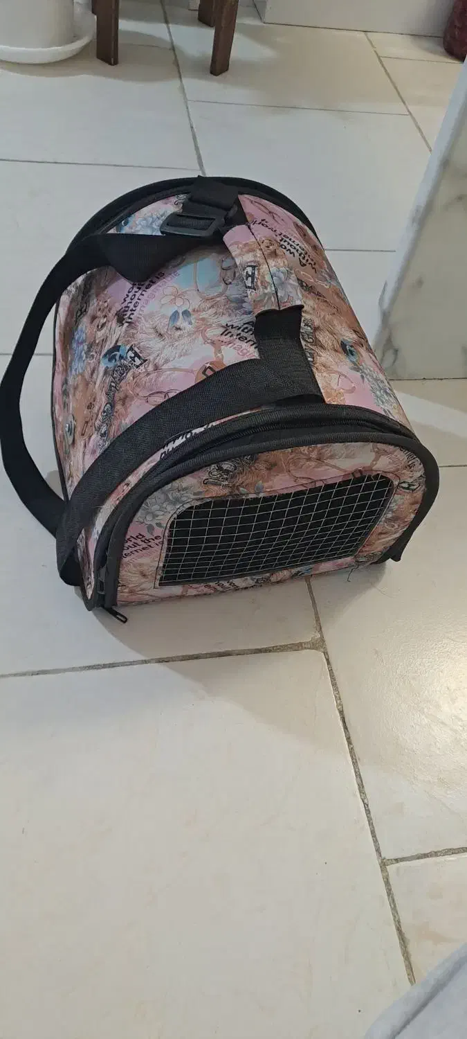 قفس پرنده|لوازم جانبی حیوانات|هشتگرد, شهرک ریحانه|دیوار