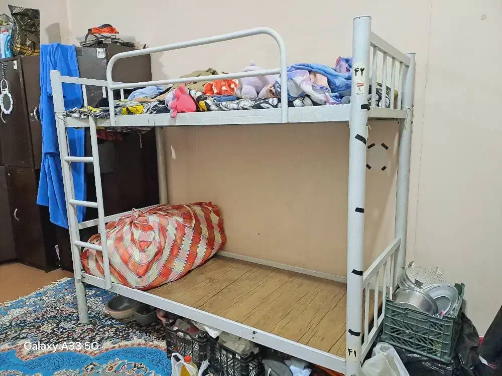 تخت پایین اتاق خوابگاه ملاصدرا ماهی 4ونیم|اجارهٔ آپارتمان|شیراز, ملاصدرا|دیوار