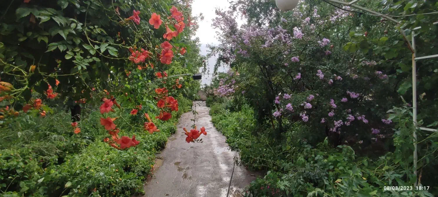 زمین با بنا و قابلیت ساخت و جواز (قابل تفکیک)|فروش زمین و ملک کلنگی|هشتگرد, ینگی امام|دیوار