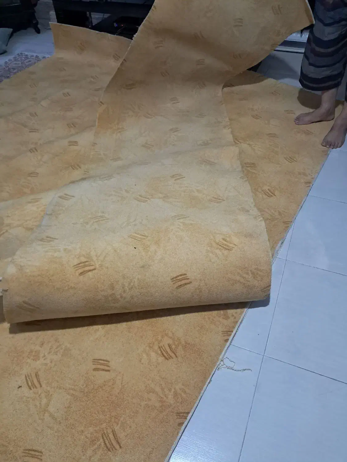موکت|موکت|چالوس, |دیوار