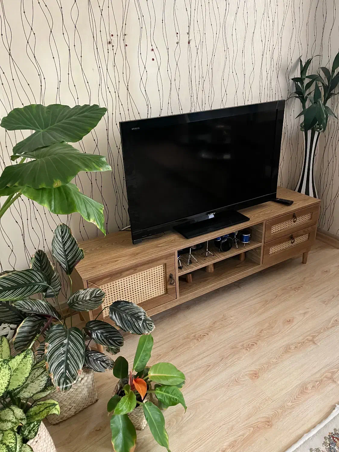 تلویزیون|تلویزیون و پروژکتور|ارومیه, |دیوار