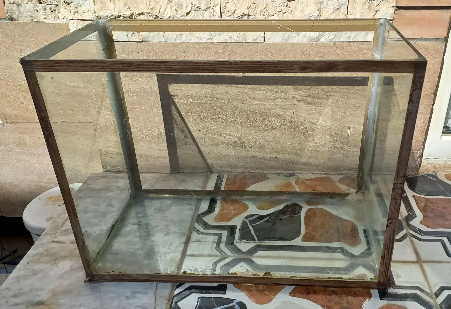 آکواریوم تمیز|ماهی|شهرضا, |دیوار