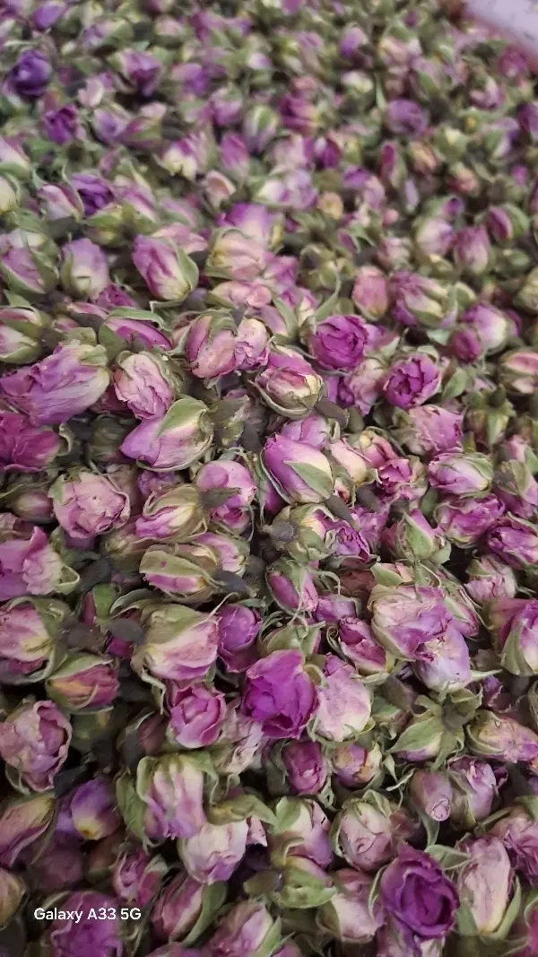 گل محمدی|خوردنی و آشامیدنی|قم, دروازه ری|دیوار