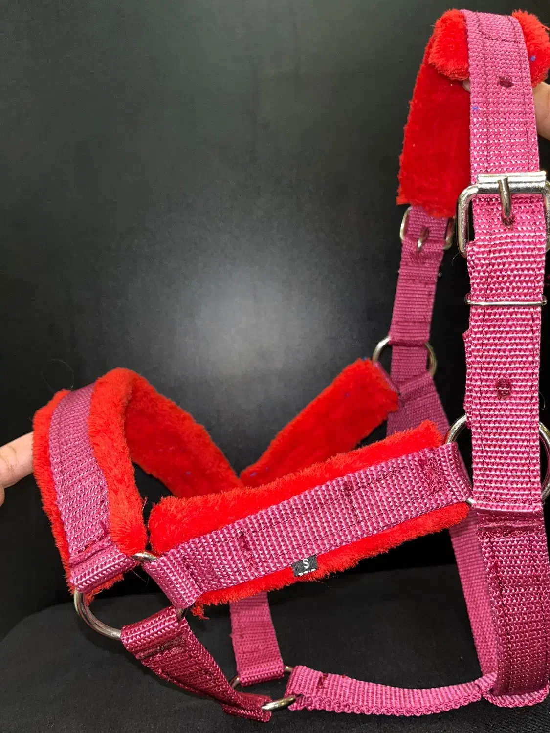 کله گیر پا آخوری اسب و گاو|اسب و تجهیزات اسبسواری|لاهیجان, کوی آزادگان|دیوار