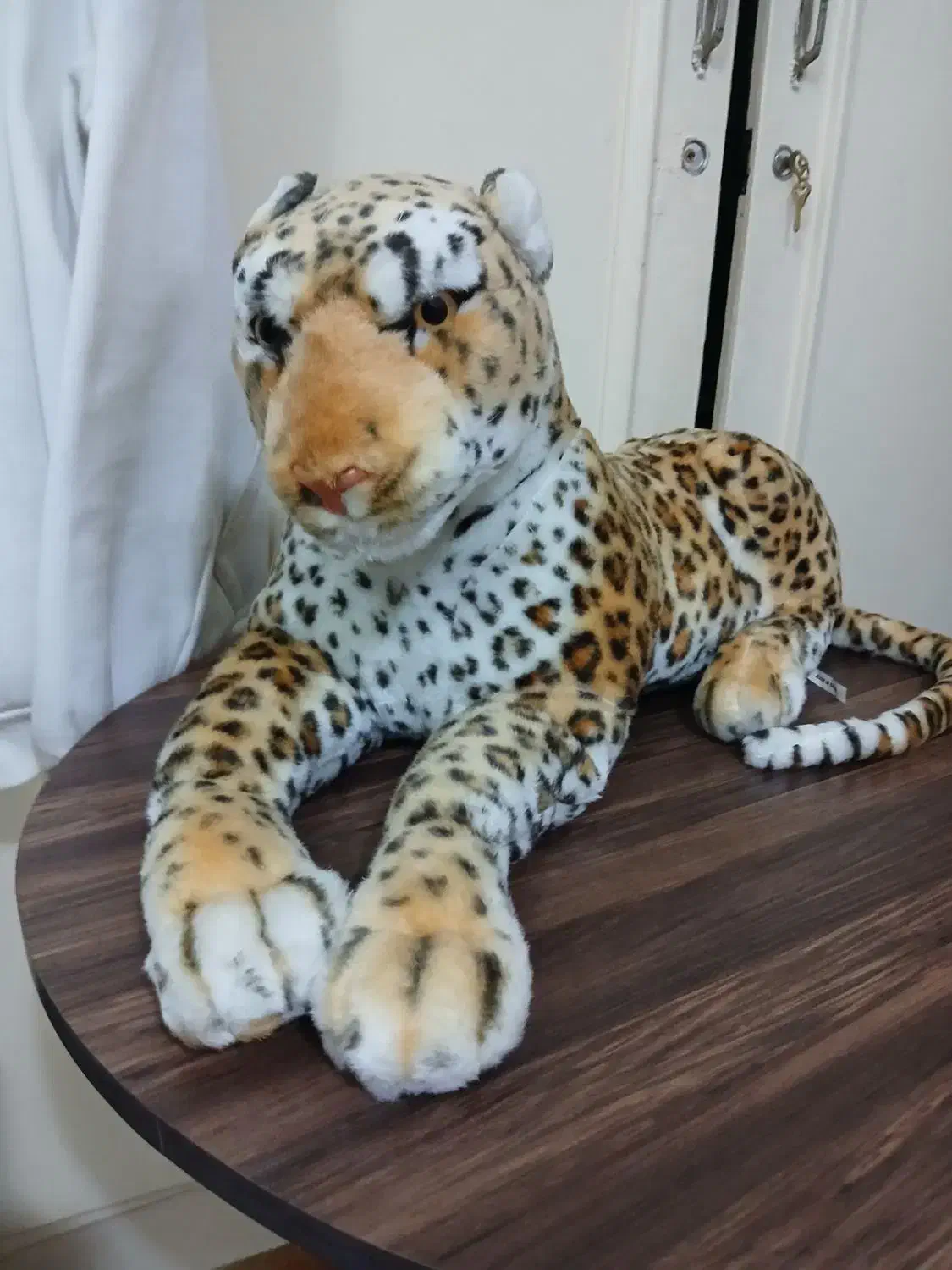 عروسک|اسباببازی|رشت, لاکانی|دیوار