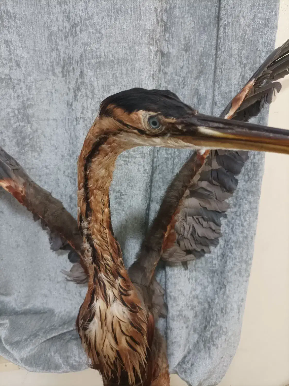 مجسمه|مجسمه، تندیس، ماکت|آبادان, |دیوار