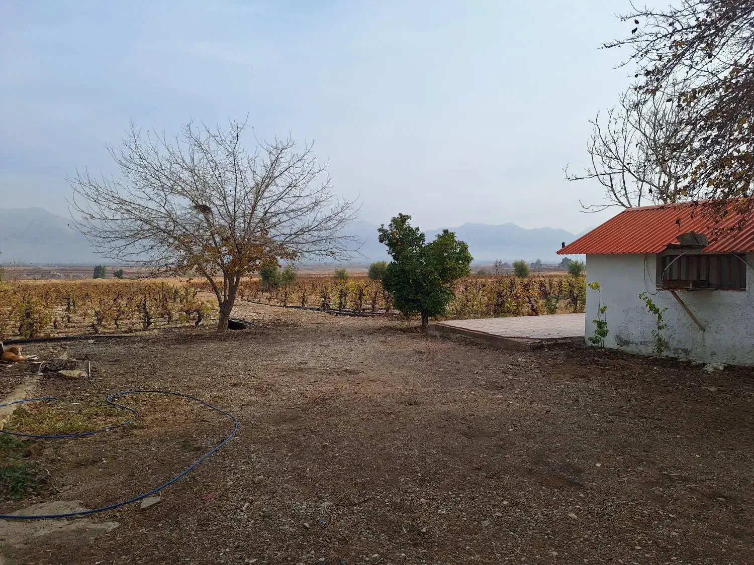 ۱۵ هکتار زمین و باغ کشاورزی در کوار فول امکانات|فروش زمین و ملک کلنگی|کوار, |دیوار