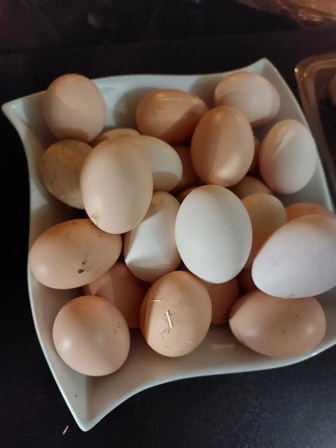 تخم مرغ محلی ارگانیک|خوردنی و آشامیدنی|کرج, دهقان ویلا|دیوار