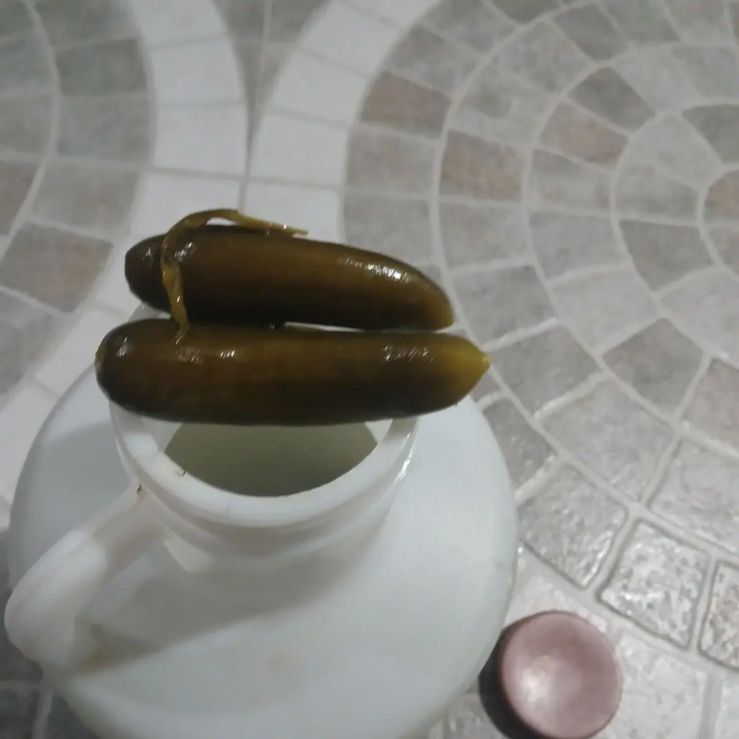 غذایی|خوردنی و آشامیدنی|سنقر, |دیوار