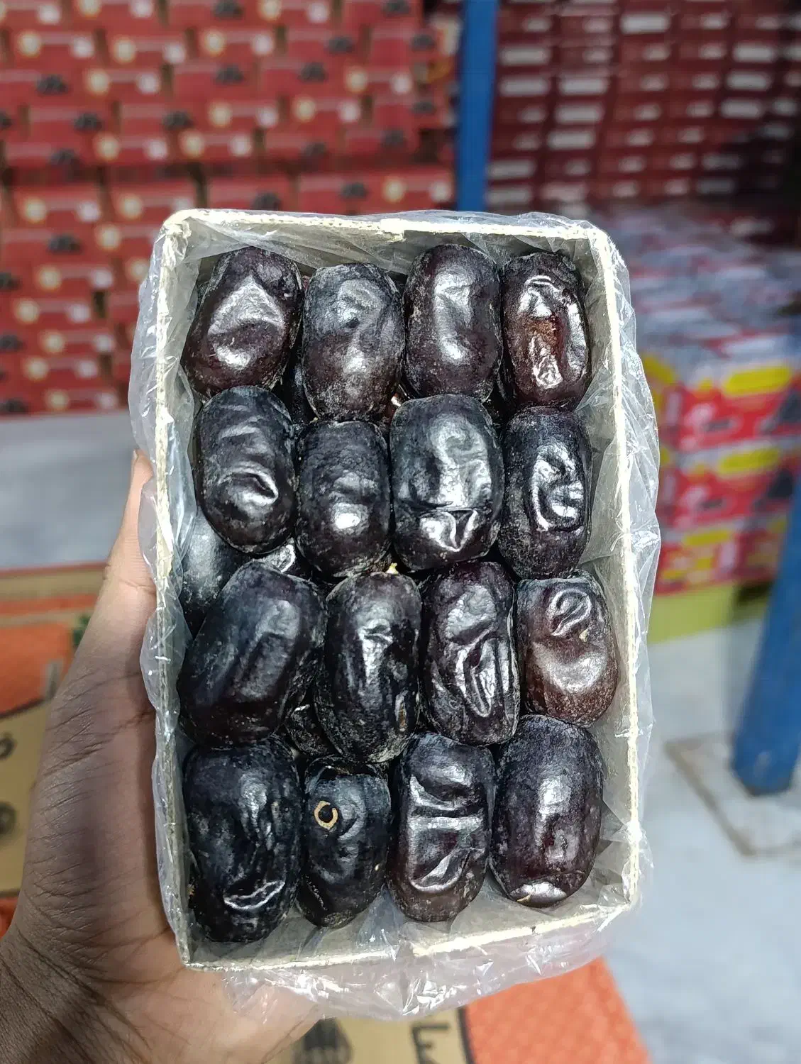 خرما|عمدهفروشی|جیرفت, |دیوار