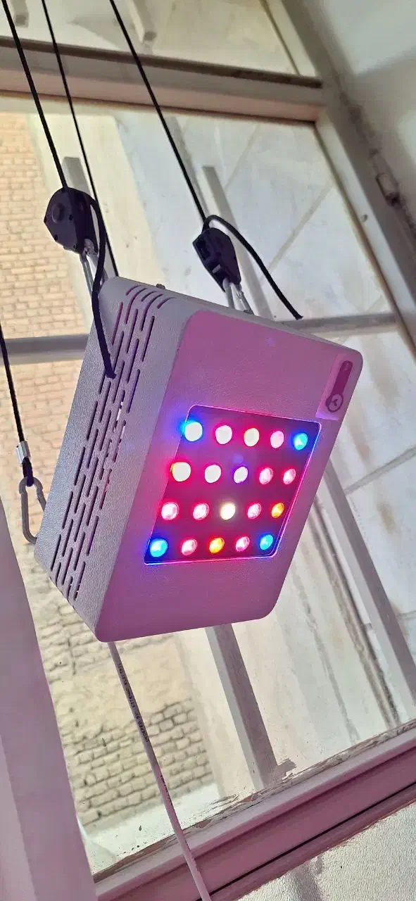 پروژکتور ال ای دی فول اسپکتروم نور رشد گیاه|لامپ و چراغ|تهران, بهداشت|دیوار