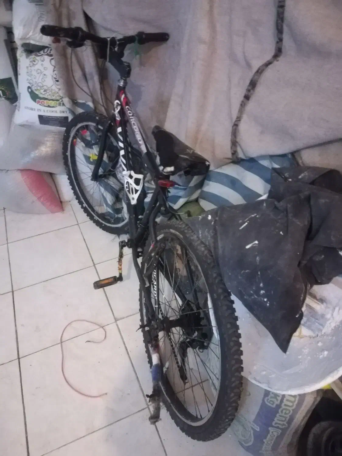 دوچرخه 26|دوچرخه، اسکیت، اسکوتر|قدس, شهرقدس|دیوار