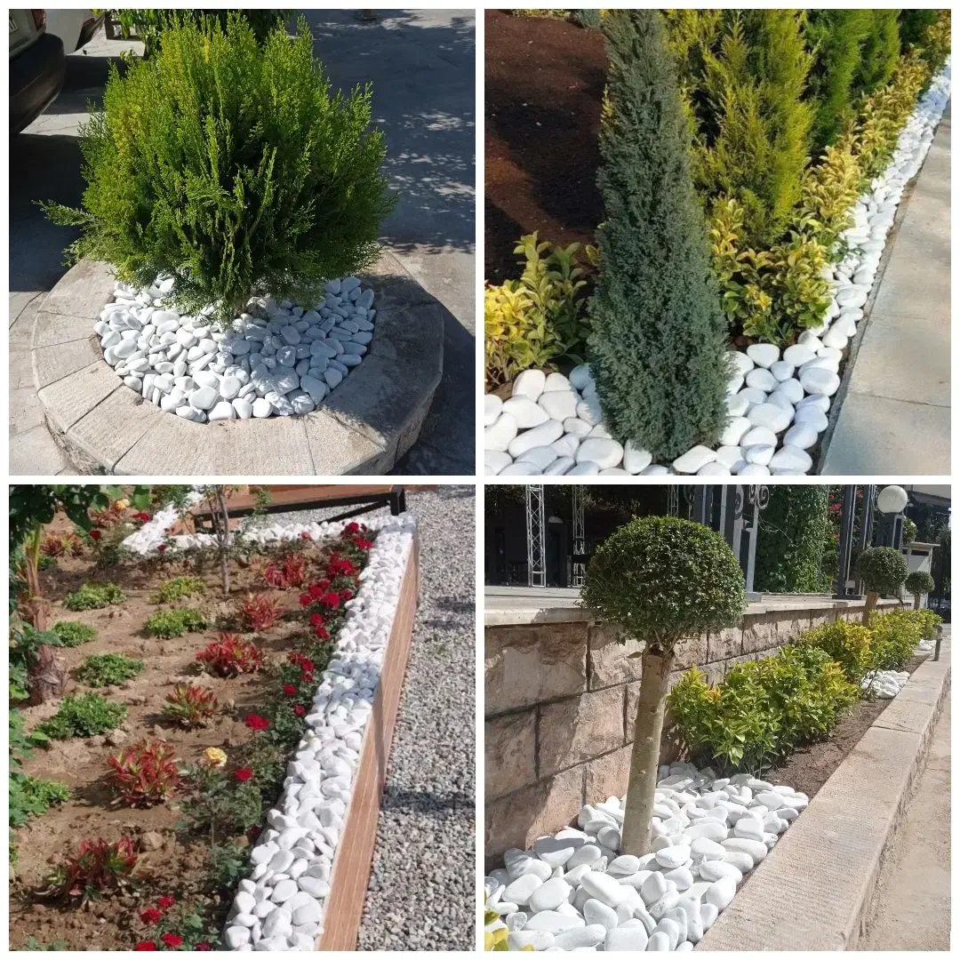 باغبانی آبیاری قطره ای کاشت هرس سم پاشی دفع آفات|خدمات باغبانی و درختکاری|شیراز, شهرک گلستان|دیوار