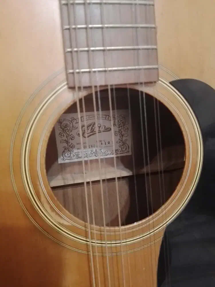 گیتار 12 سیم Aria اورجینال ژاپن|گیتار، بیس، امپلیفایر|کرج, گلشهر|دیوار