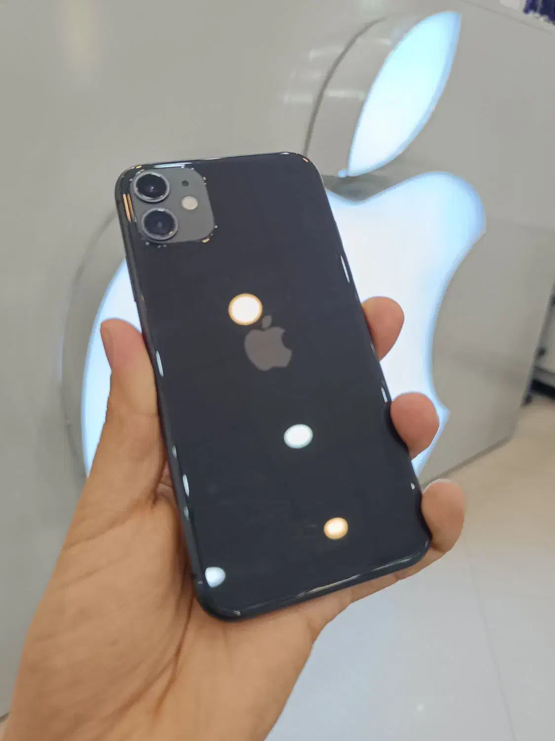 iPhone 11|موبایل|مشهد, سعد آباد|دیوار