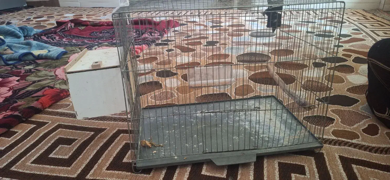 قفس مرغ عشق|لوازم جانبی حیوانات|اهواز, زرگان|دیوار