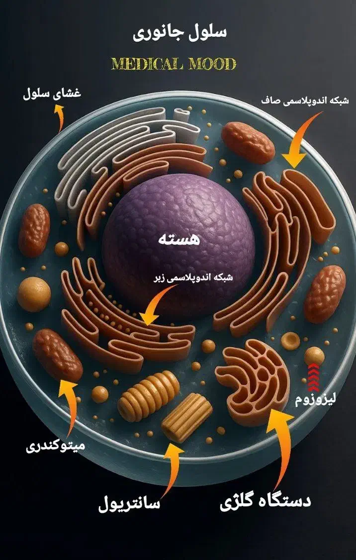 تدریس علوم وزیست شناسی|خدمات آموزشی|ارومیه, |دیوار