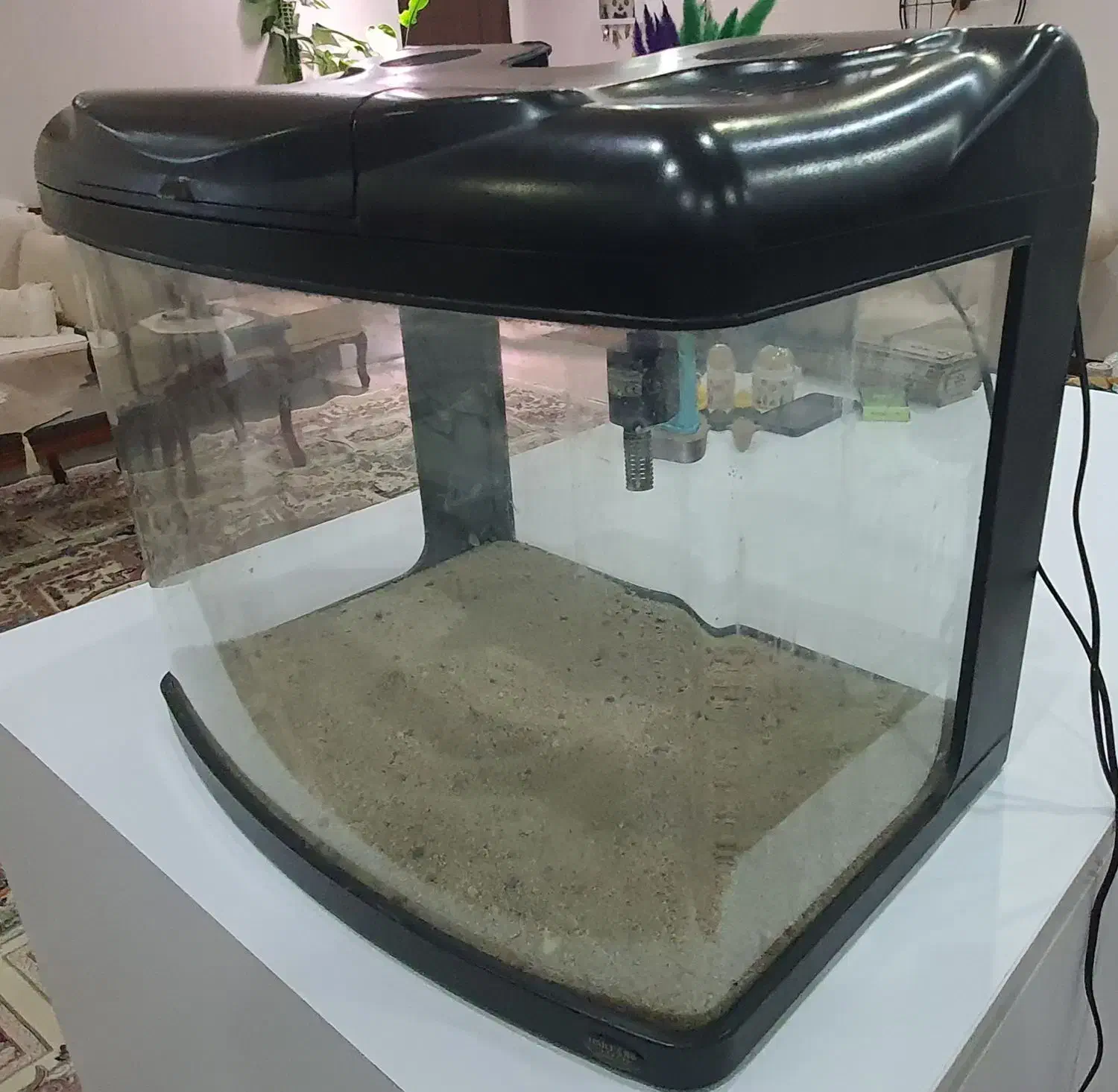 آکواریوم شرکتی هایلا|ماهی|کهریزک, |دیوار