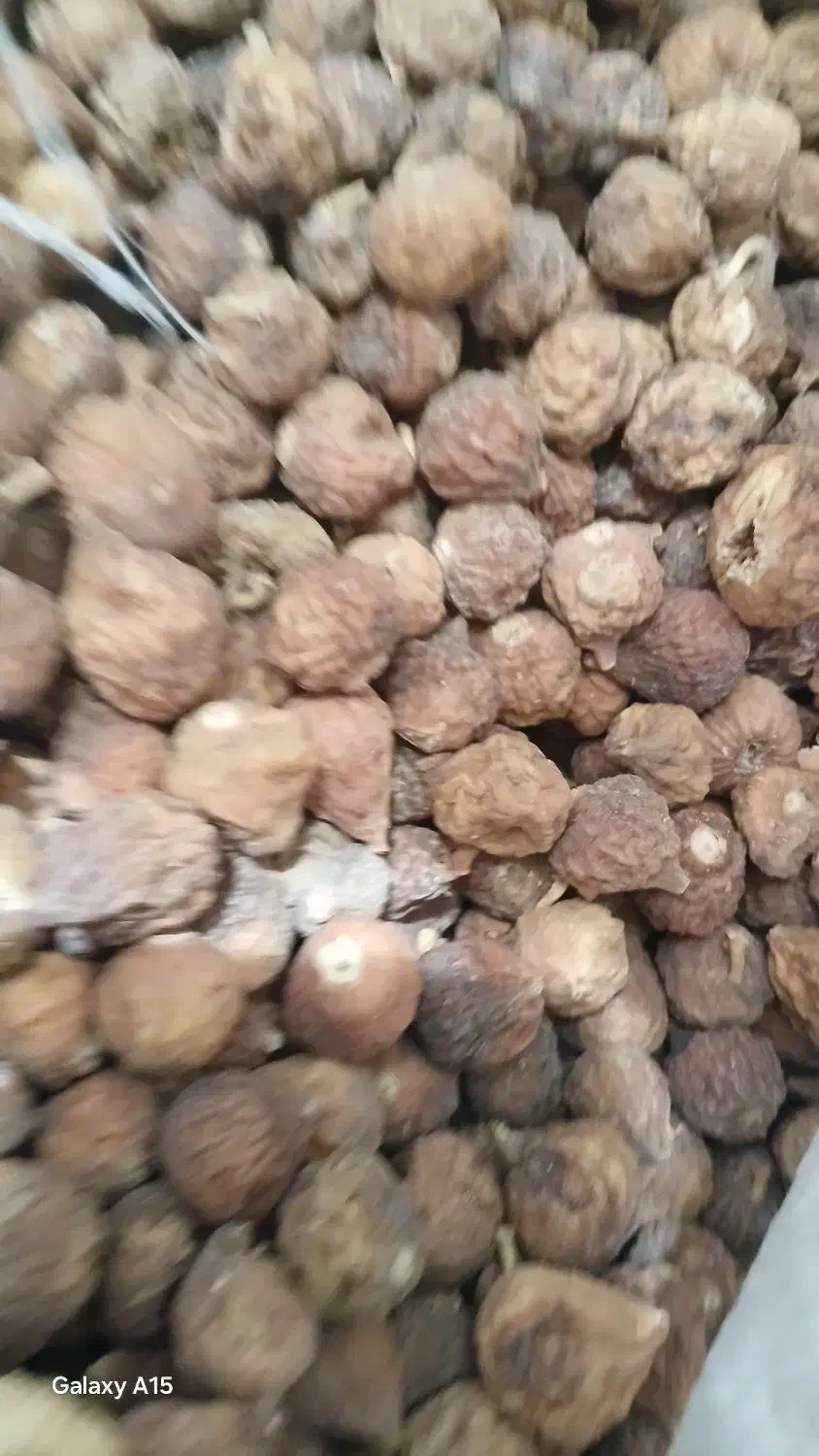 انجیر کوهی استهبان فقط وفقط عمده|خوردنی و آشامیدنی|اهواز, کمپلو شمالی|دیوار