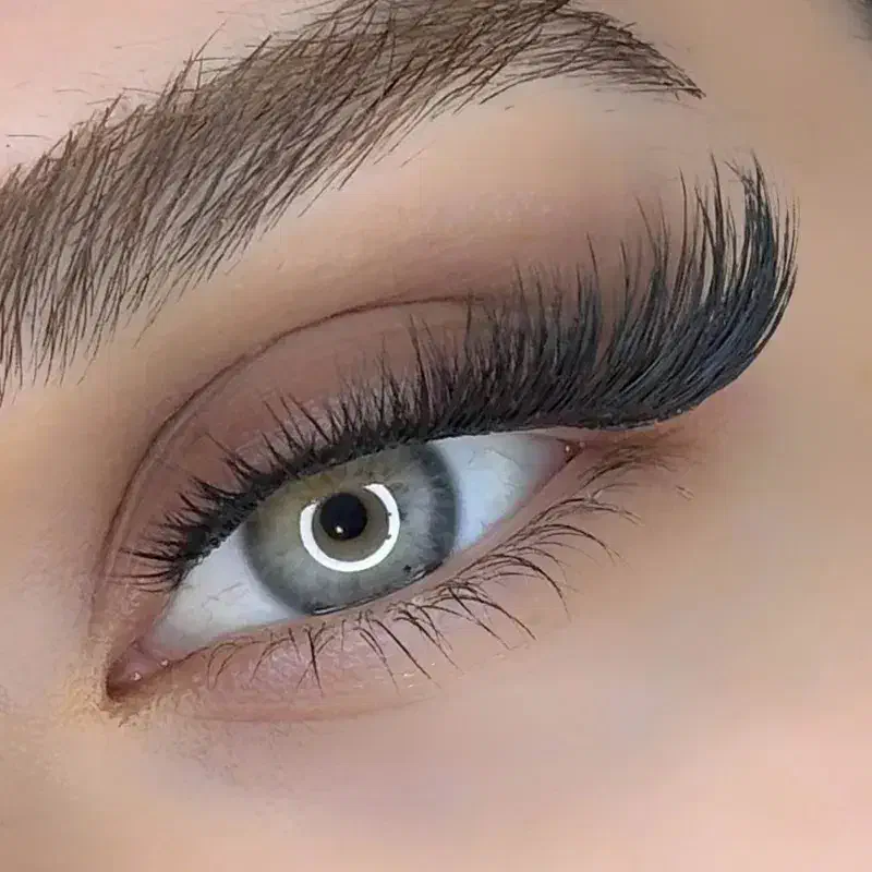 آموزش تخصصی و خدمات کاشت مژه|خدمات آرایشگری و زیبایی|تهران, سلسبیل شمالی|دیوار