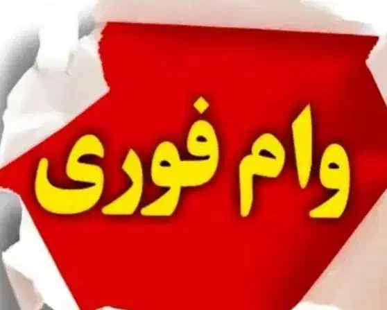 ضامن رتبه a|فعالیت داوطلبانه تحقیقاتی|اهواز, نیوساید|دیوار
