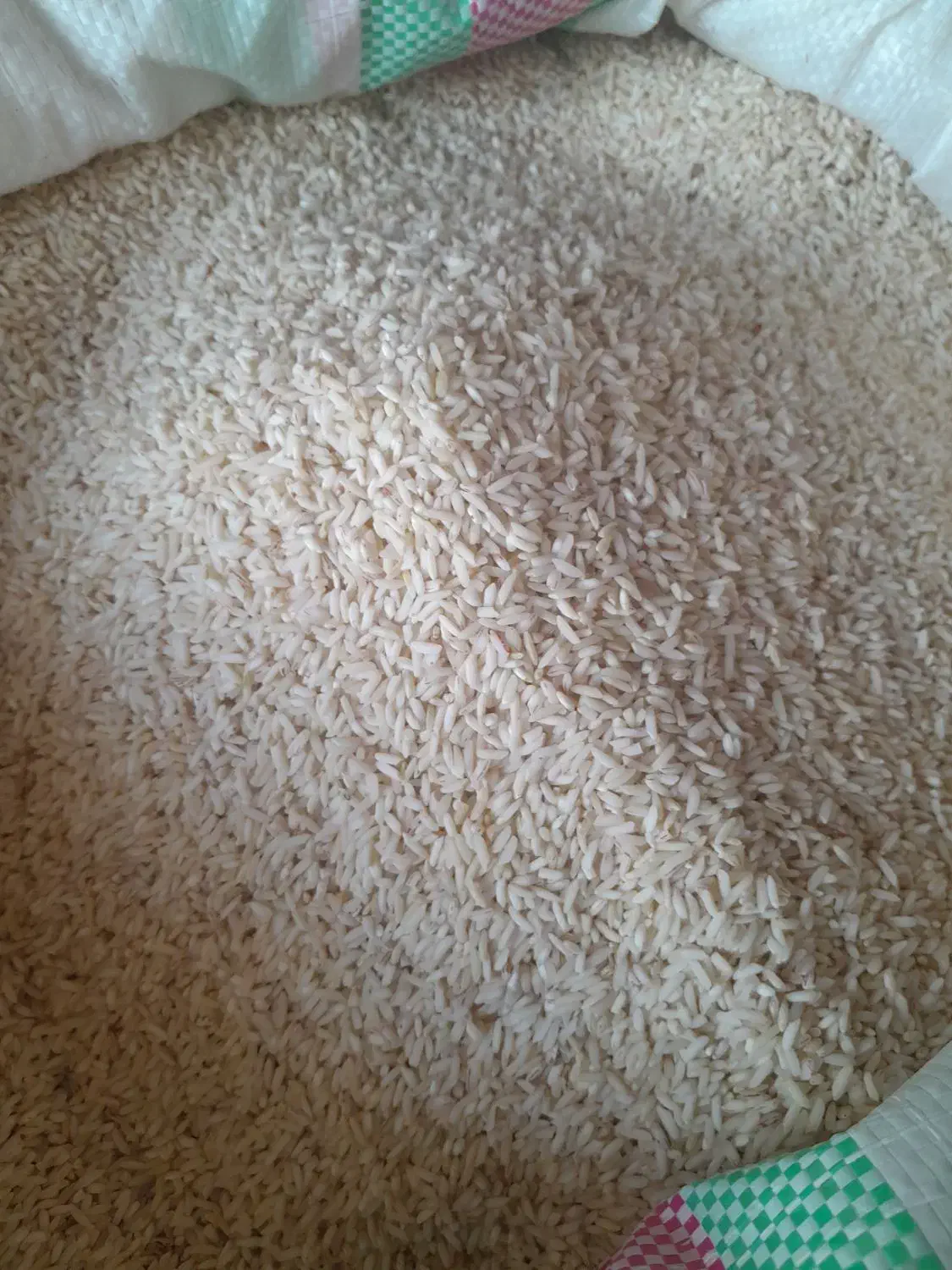 برنج قلوه|عمدهفروشی|کیاشهر, |دیوار