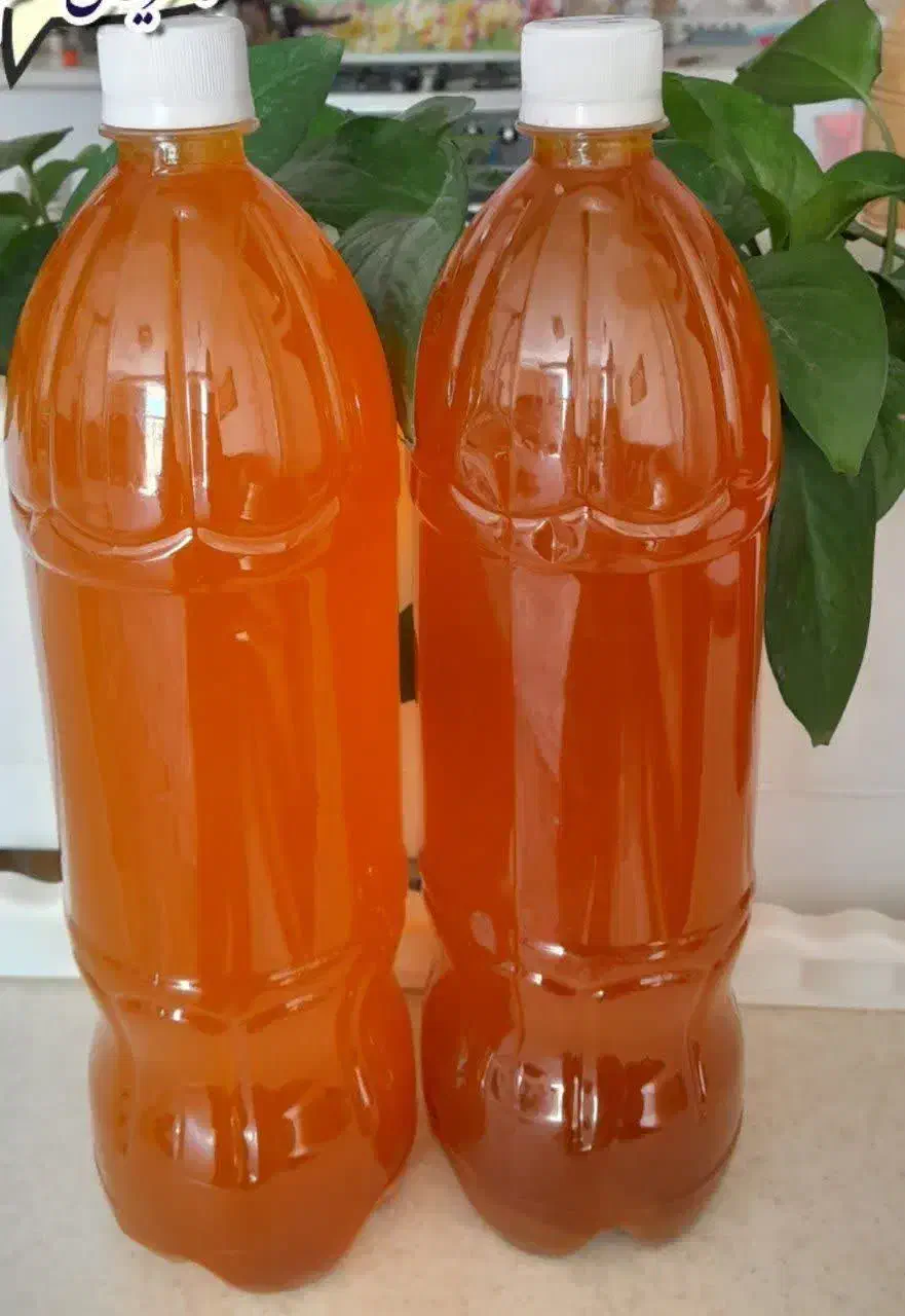 ابغوره خانگی و رب گوجه|خوردنی و آشامیدنی|اصفهان, جویباره|دیوار
