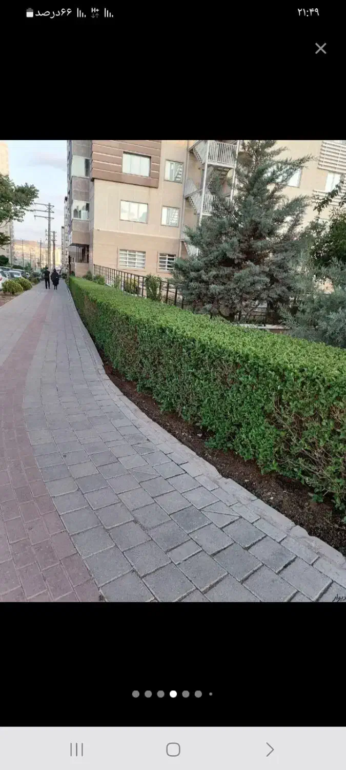 سمپاشی  و هرس اصولی درختان / خدمات کامل باغداری|خدمات باغبانی و درختکاری|محمدشهر, زیبادشت|دیوار