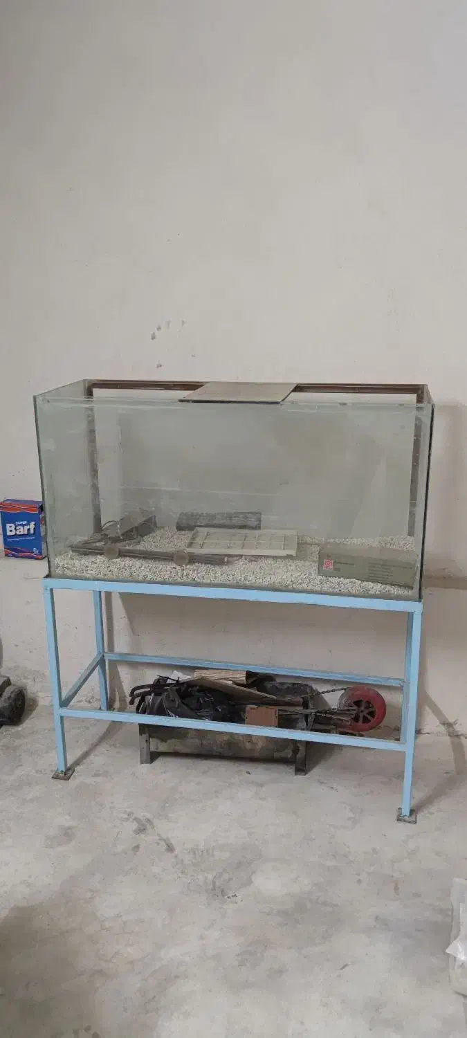 آکواریوم همراه با شن و ماسه|ماهی|برازجان, |دیوار