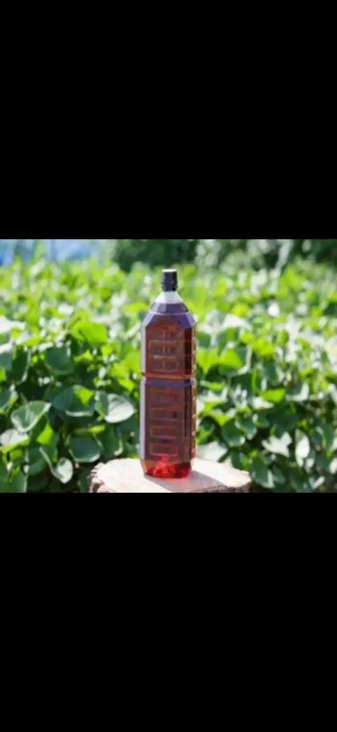 سرکه چوب|خدمات باغبانی و درختکاری|بابل, |دیوار