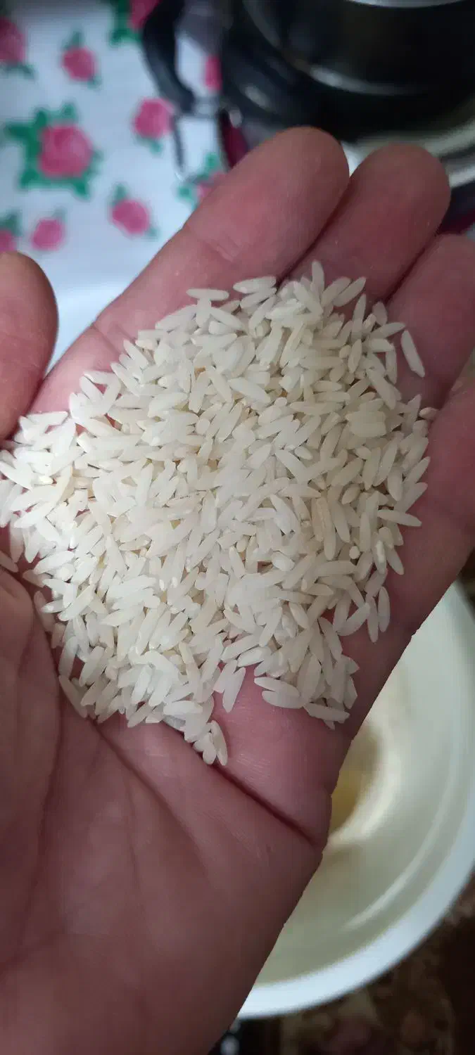 فروشی|خوردنی و آشامیدنی|آستارا, |دیوار