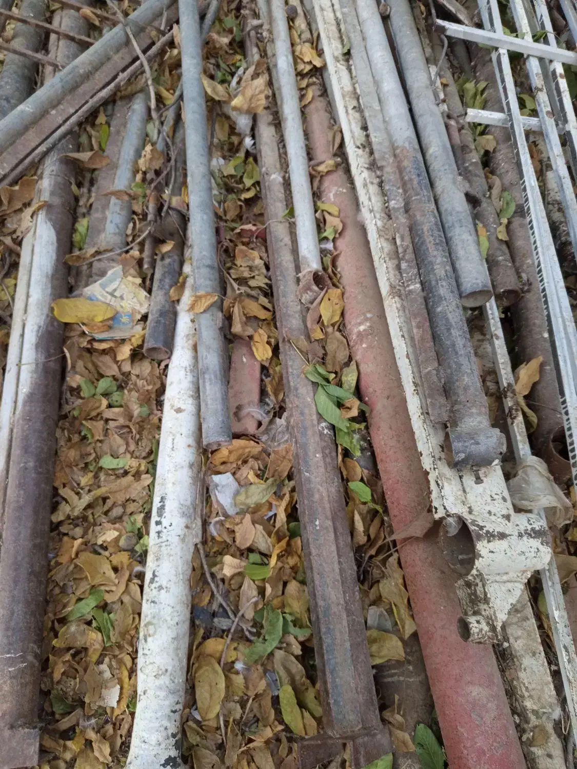 انواع دار قالی|لوازم التحریر|رودشت (چهارمحال و بختیاری), |دیوار