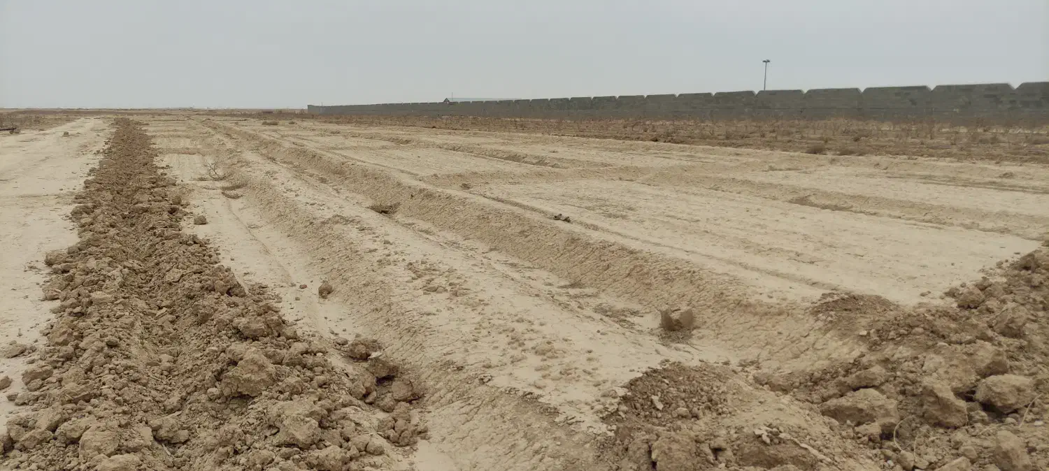 فروش زمین پنج هزار متر زمین کشاورزی|فروش زمین و ملک کلنگی|شاهینشهر, گرگاب|دیوار