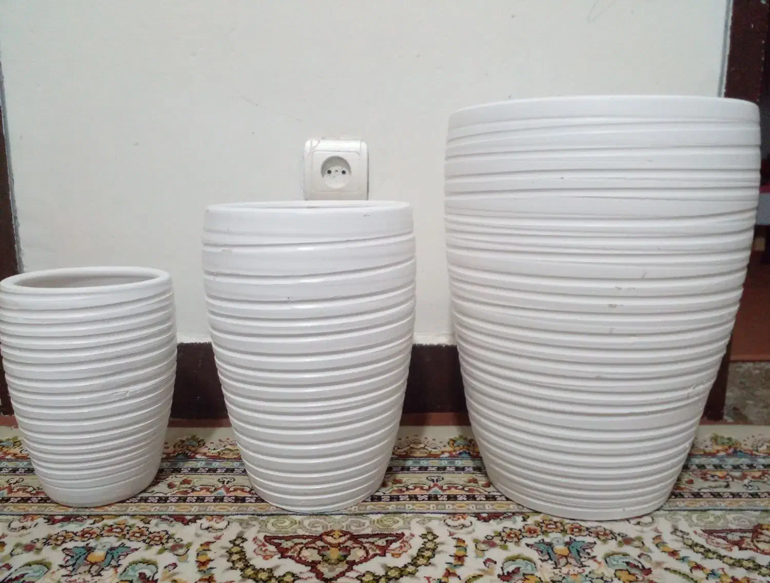 گلدان نو|گل و گیاه طبیعی|شیراز, دشت چنار|دیوار