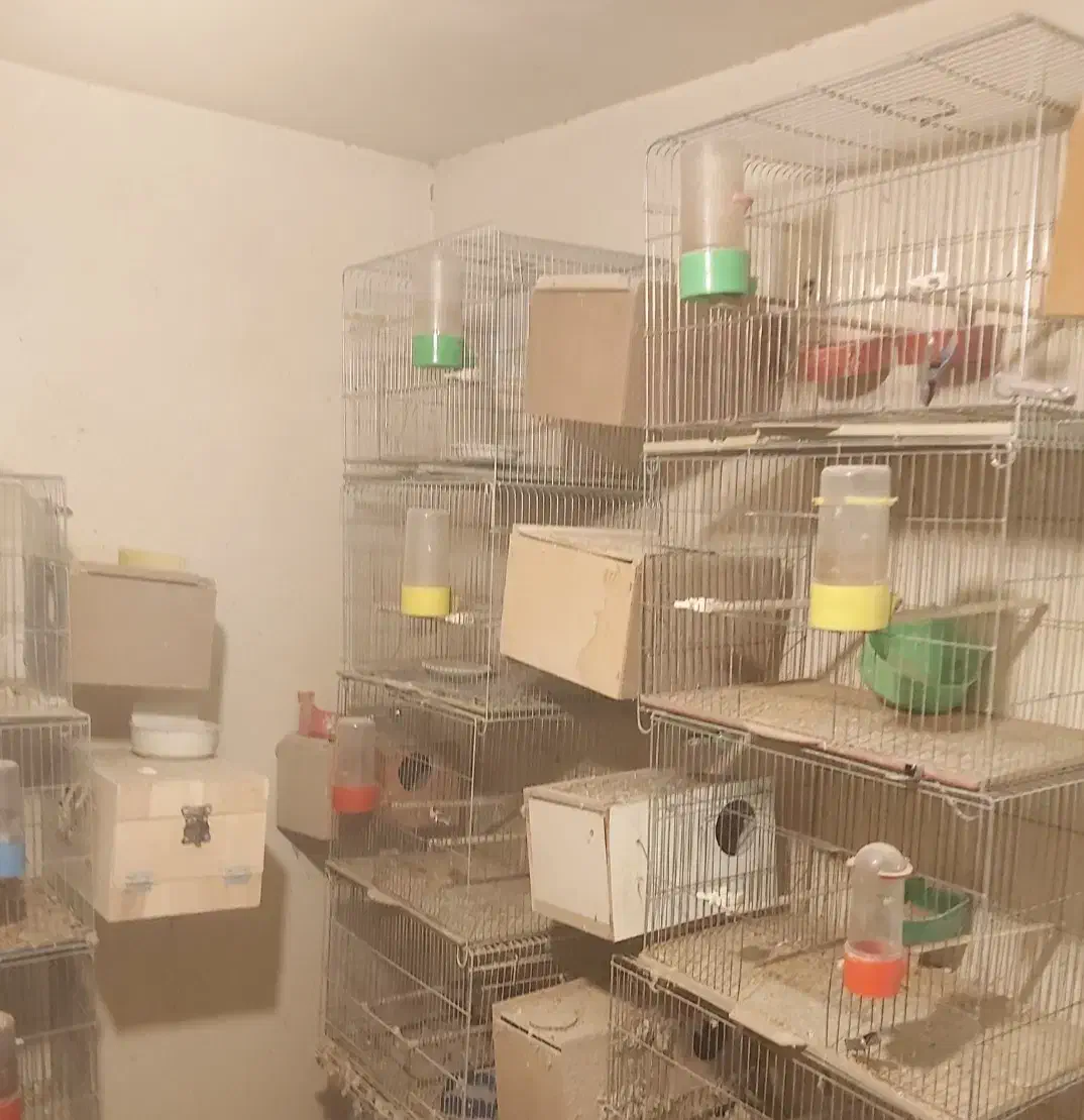 قفس و لانه|لوازم جانبی حیوانات|اصفهان, کشاورزی|دیوار