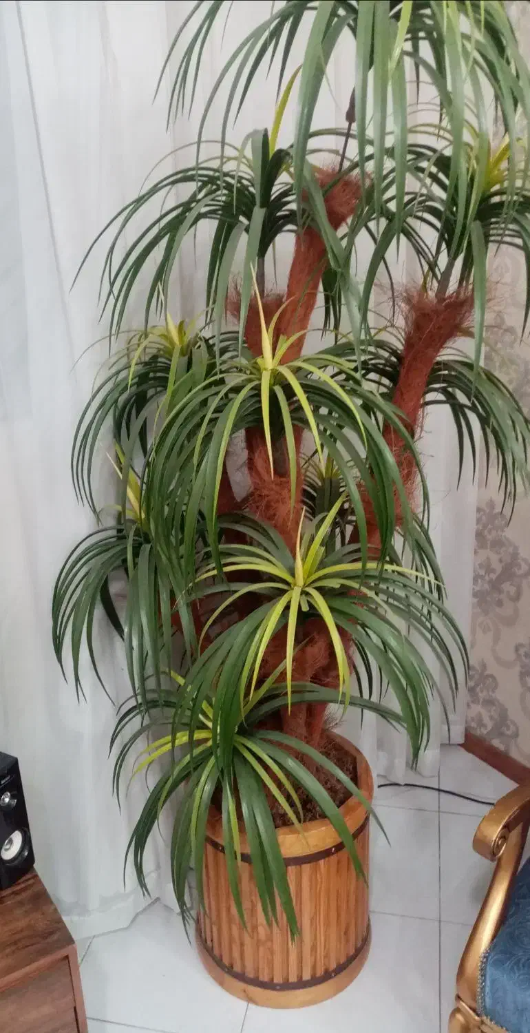 گل مصنوعی|گل مصنوعی|مشهد, آزادشهر|دیوار