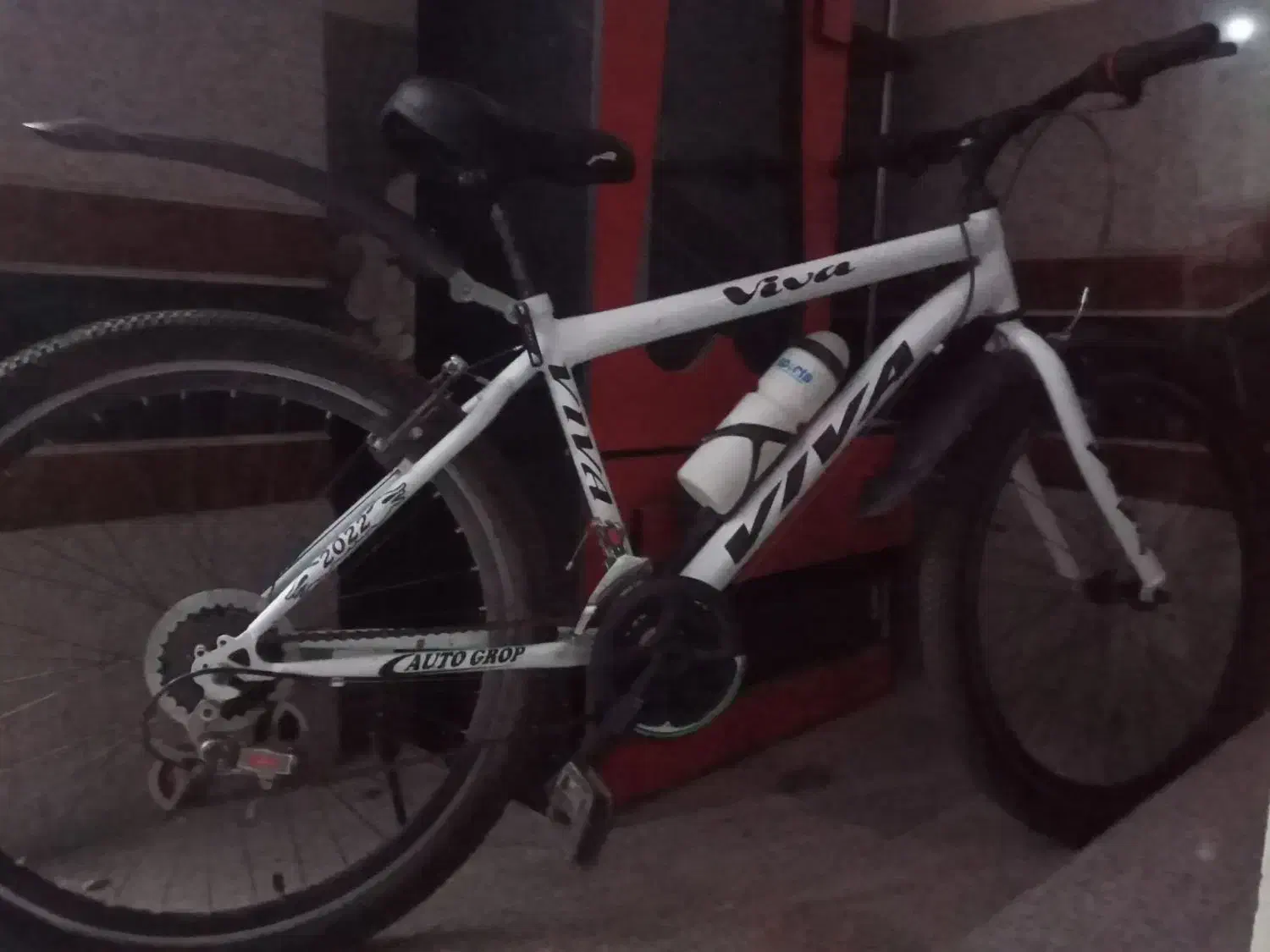 دوچرخه سایز ۲۴|دوچرخه، اسکیت، اسکوتر|ری, شهادت|دیوار