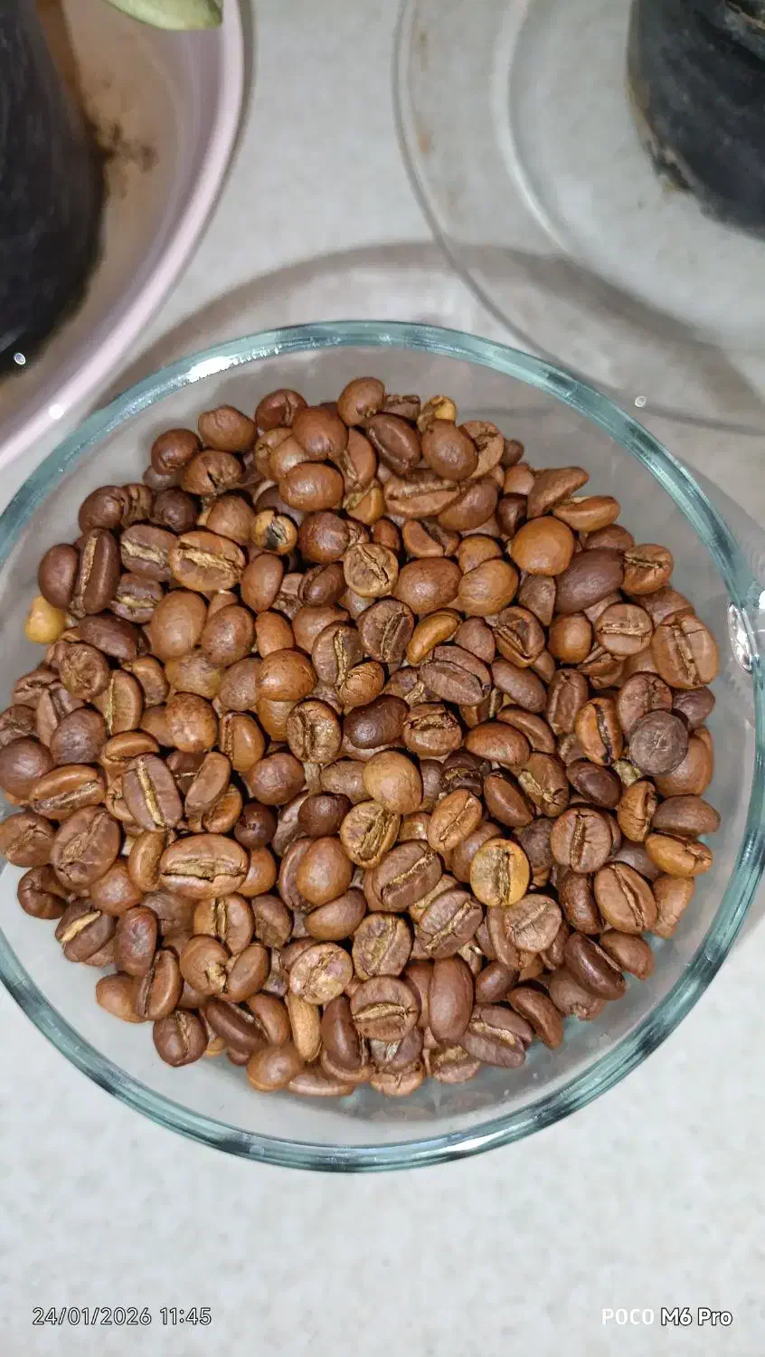 دانه قهوه|خوردنی و آشامیدنی|تهران, تهرانسر غربی|دیوار