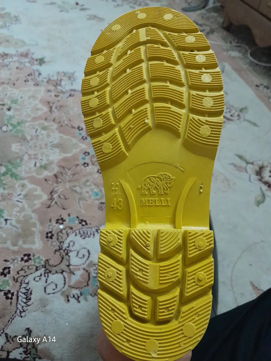 چکمه کفش ملی|کیف، کفش، کمربند|قوچان, |دیوار