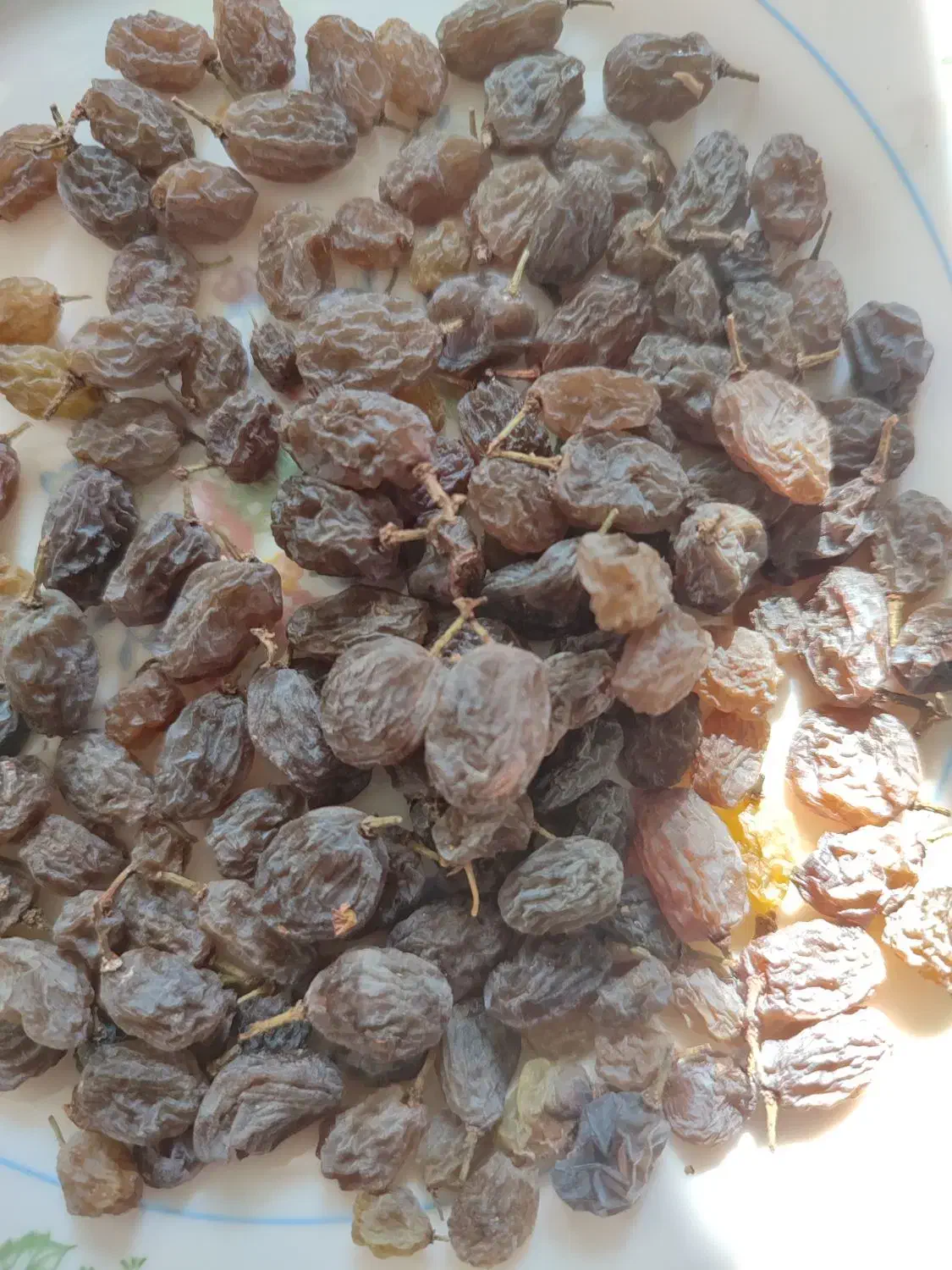 ملاخ کشمشی|خوردنی و آشامیدنی|بناب, |دیوار