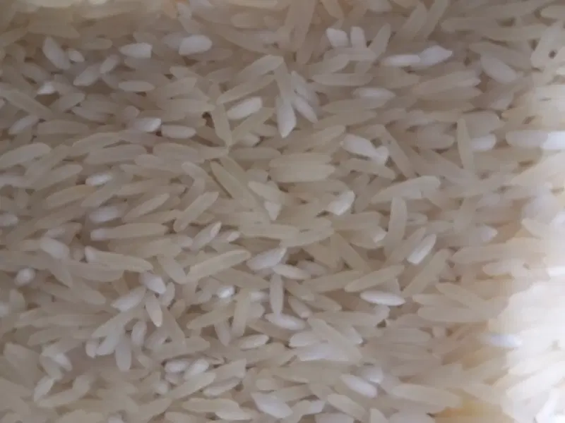 برنج|خوردنی و آشامیدنی|ایرانشهر, |دیوار