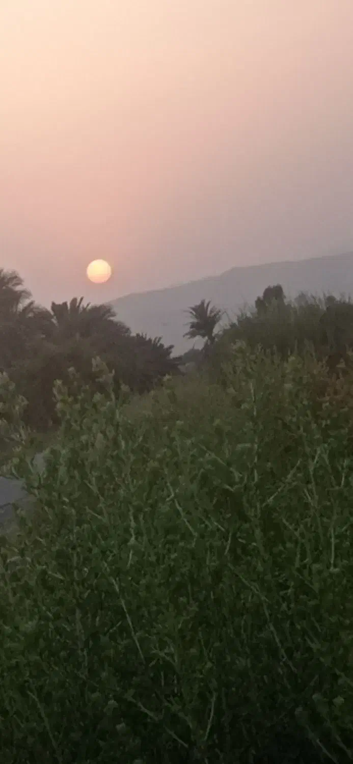 فروش فسیل مضافتی|کلکسیون و سرگرمی|عنبرآباد, |دیوار