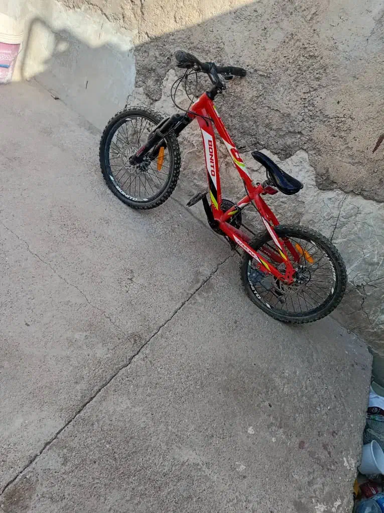 دوچرخه شماره 20|دوچرخه، اسکیت، اسکوتر|مسجد سلیمان, |دیوار