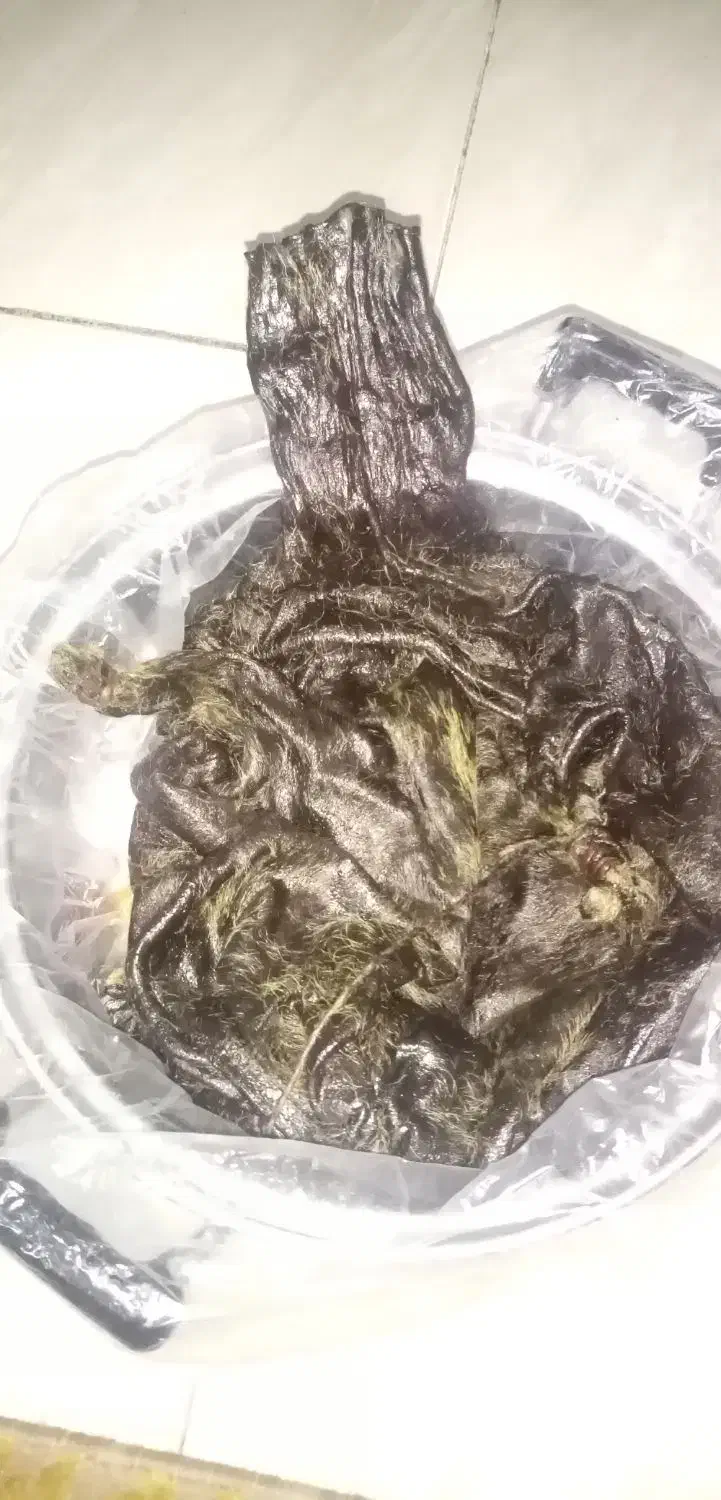 هیزه 5 کیلویی|ظروف نگهدارنده، پلاستیکی، یکبارمصرف|کرمانشاه, |دیوار