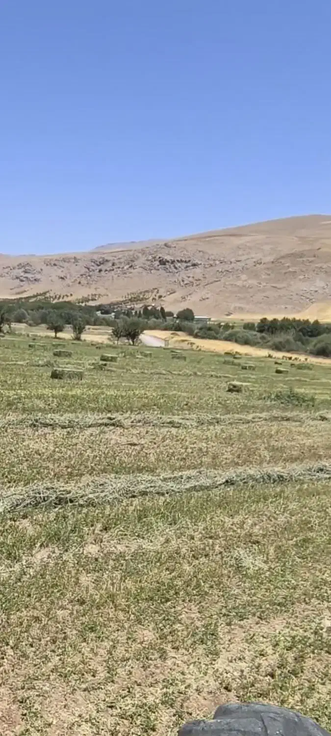 یونجه گندم جو باقالی|عمدهفروشی|بیرانوند, |دیوار