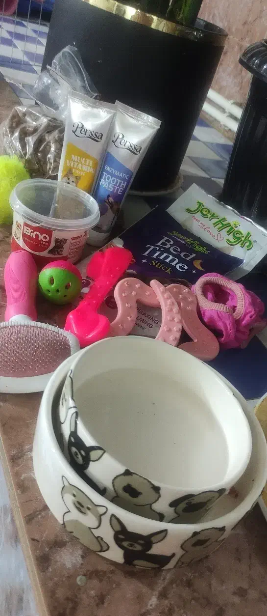 پامر|سگ|چهارباغ, |دیوار