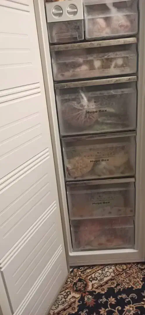 یخچال و فریزر ساید|یخچال و فریزر|قشم, |دیوار